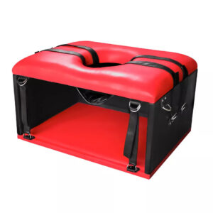 Queening Chair for Face siting Sex Bondage BDSM Furniture Kinging Red Box