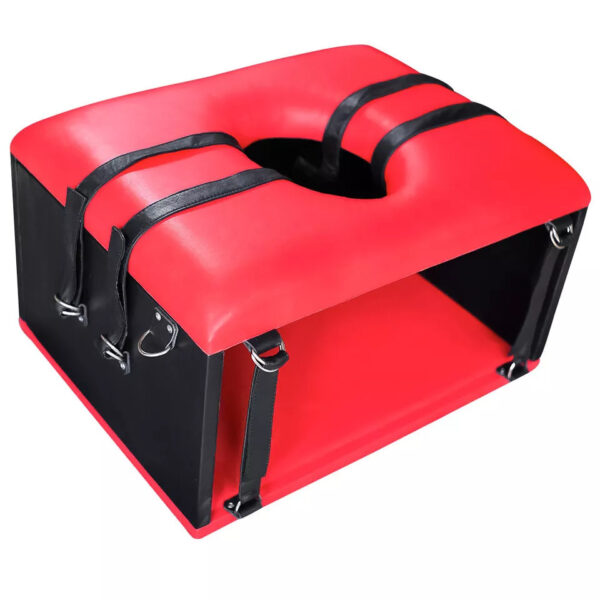 Queening Chair for Face siting Sex Bondage BDSM Furniture Red Box